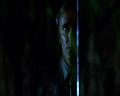 PDVD_1276