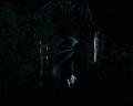 PDVD_1279
