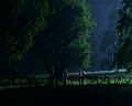 PDVD_1304