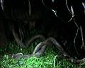 PDVD_1340