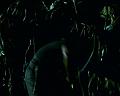 PDVD_1348