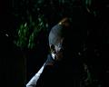 PDVD_1371