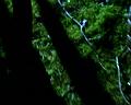 PDVD_1378