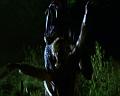 PDVD_1395