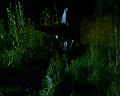 PDVD_1399
