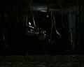 PDVD_1687