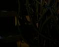 PDVD_1700