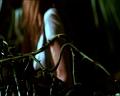 PDVD_1705