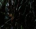 PDVD_1708