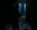PDVD_1747