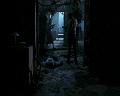 PDVD_1789
