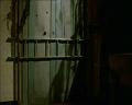 PDVD_2228