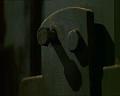 PDVD_2262