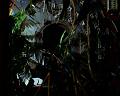 PDVD_2281