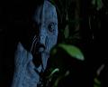 PDVD_2285