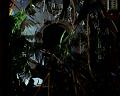 PDVD_2288