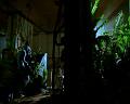 PDVD_2290