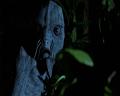 PDVD_2292