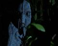 PDVD_2293