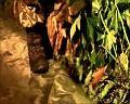 PDVD_2342