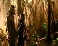 PDVD_2390