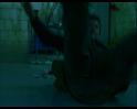 PDVD_410