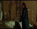 PDVD_440