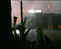 PDVD_290.jpg