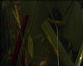 PDVD_1053.jpg