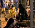 PDVD_1303.jpg
