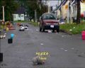 PDVD_1346.jpg
