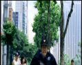 PDVD_058.jpg
