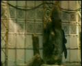 PDVD_1727.jpg