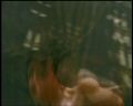 PDVD_2073.jpg