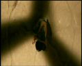 PDVD_2097.jpg