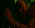 PDVD_413.jpg