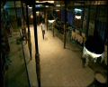 PDVD_801.jpg