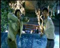 PDVD_928.jpg