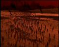 PDVD_1343.jpg