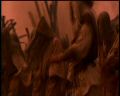 PDVD_1345.jpg
