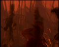 PDVD_1364.jpg
