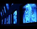 PDVD_1324