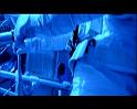 PDVD_1331