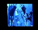 PDVD_1337