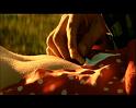 PDVD_1449