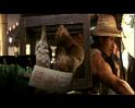 PDVD_1539