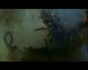 PDVD_1547