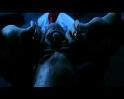 PDVD_1554