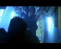 PDVD_2121