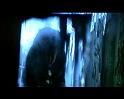 PDVD_2137